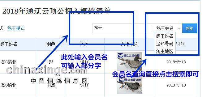 查鸽网足环号查询系统