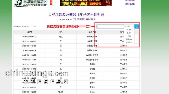 关于幼鸽入棚查询系统说明