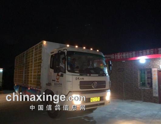 ΢��ͼƬ_20181026202020_����