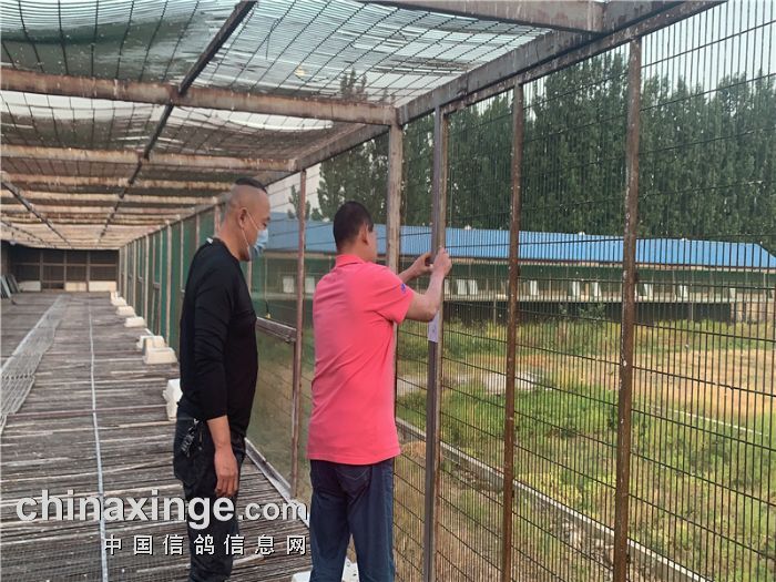 临沂鸽协公棚裁判组入驻山东沂蒙赛鸽公棚